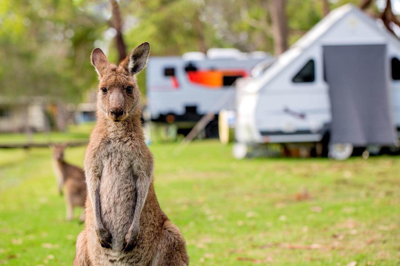 Tasman Holiday Parks - Kioloa Beach エクステリア 写真